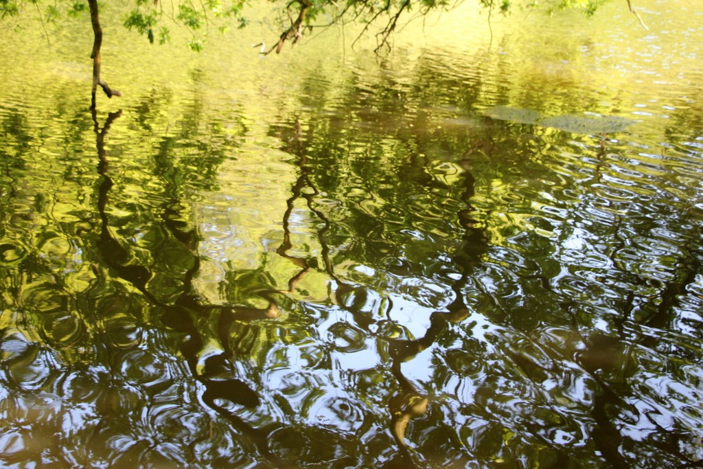 Reflets