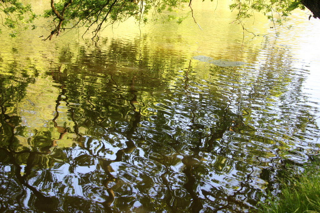 Reflets