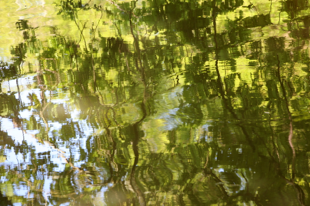 Reflets