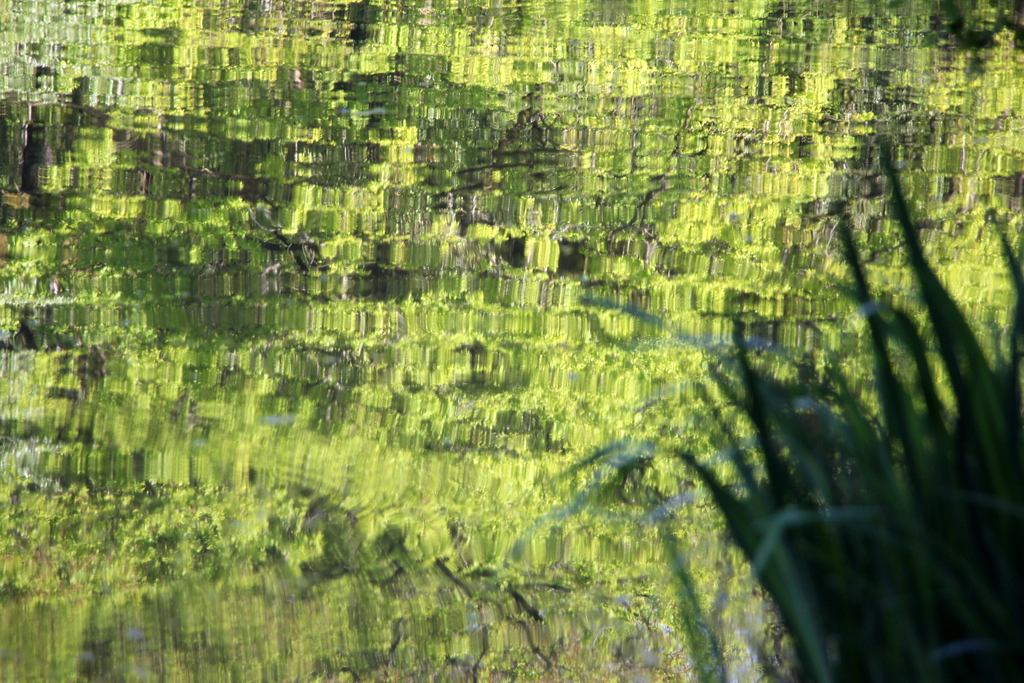 Reflets