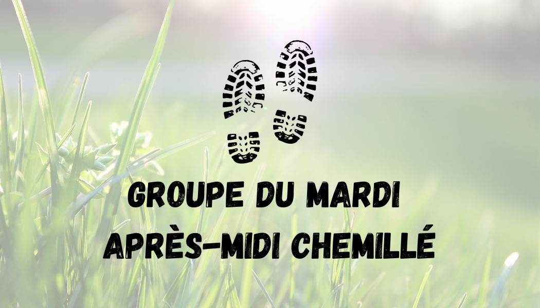 groupe 3