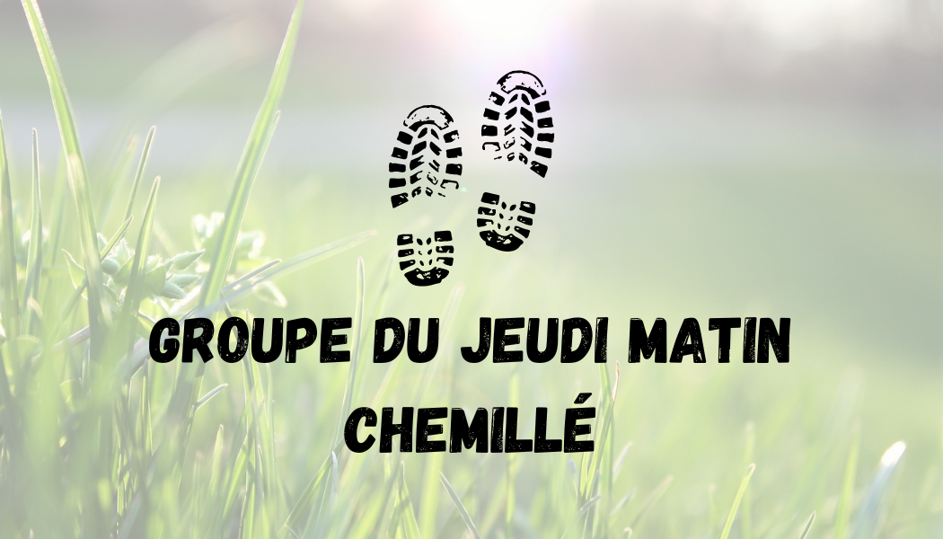 groupe 4